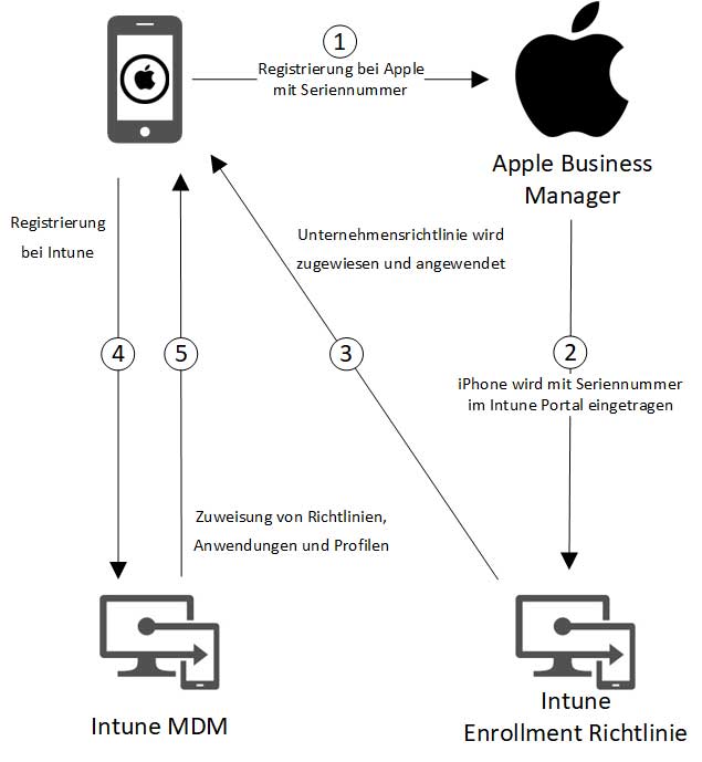 Verknüpfung Apple Business Manager Intune