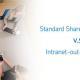 Intranet SharePoint Standard vs. Out-of-the-Box